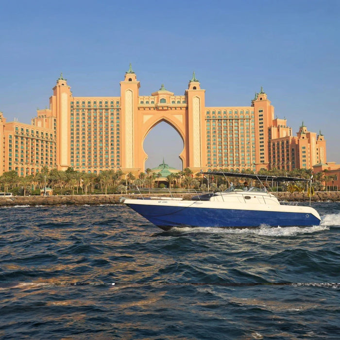 Exciting 3-Hour Fishing Trip on a 36ft Yacht for Up to 10 People