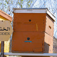 Discover Hatta Honeybee Garden With Your Family Of Four |  at Wondergifts