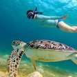 Snorkeling, Turtle Encounter & BBQ in Fujairah |  at Wondergifts
