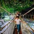 Dubai Aquarium & Underwater Zoo with Penguin Cove General Admission