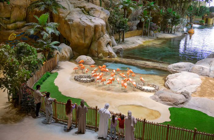 General Admission Ticket to SeaWorld Yas Island Abu Dhabi