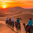 Al Maha Desert Resort - Luxury Desert Adventure with Camel Trek, Wildlife Drive & Sunset Sundowner