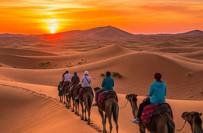Al Maha Desert Resort - Luxury Desert Adventure with Camel Trek, Wildlife Drive & Sunset Sundowner
