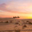 Overnight Desert Escape with Hot Air Balloon Ride, Dinner & Camel Safari for Two |  at Wondergifts