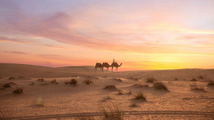 Overnight Desert Escape with Hot Air Balloon Ride, Dinner & Camel Safari for Two |  at Wondergifts
