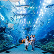 Spectacular Burj Khalifa At The Top & Dubai Aquarium Adventure Combo |  at Wondergifts