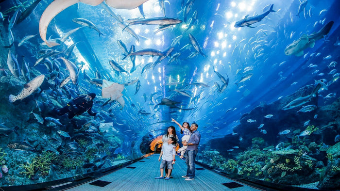Spectacular Burj Khalifa At The Top & Dubai Aquarium Adventure Combo |  at Wondergifts