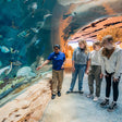 General Admission Ticket to SeaWorld Yas Island Abu Dhabi