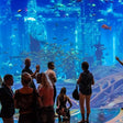Atlantis The Lost World Aquarium Access for 2 | Buy 1 Get 1 Free Offer