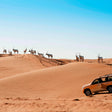 Al Maha Desert Resort - Luxury Desert Adventure with Camel Trek, Wildlife Drive & Sunset Sundowner
