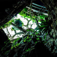 Immersive The Green Planet Day Pass Experience