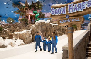 Full Day Unlimited Access to Snow Park Abu Dhabi for One |  at Wondergifts