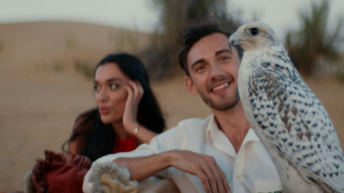 Sunset Desert Safari with Dinner and Falcon Show |  at Wondergifts