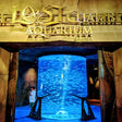 Dinner at Saffron Atlantis with Lost Chambers Aquarium Access for Two |  at Wondergifts