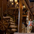 General Admission Ticket to SeaWorld Yas Island Abu Dhabi