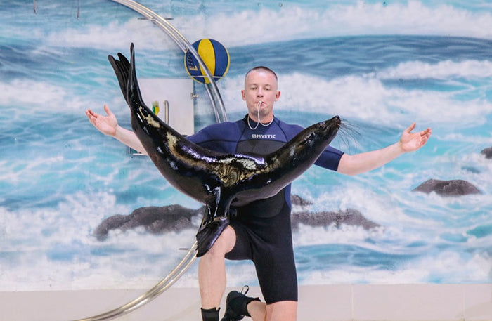 Dolphin & Seal Show for Family of Four at Dubai Dolphinarium |  at Wondergifts