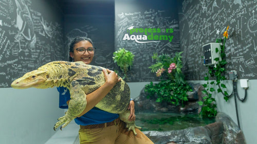 All Access Family Pass at The National Aquarium Abu Dhabi for Four |  at Wondergifts