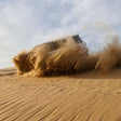 Sunset Abu Dhabi Desert Safari with BBQ and Live Entertainment for One |  at Wondergifts