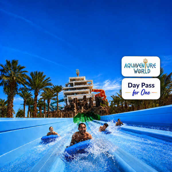 Atlantis Aquaventure Thrilling Waterpark Day Pass at Atlantis The Palm Dubai