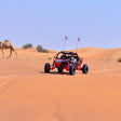 60-Minute Adrenaline-fueled Dune Buggy Adventure for Two |  at Wondergifts