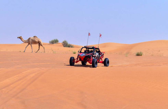 60-Minute Adrenaline-fueled Dune Buggy Adventure for Two |  at Wondergifts