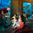 Atlantis Lost Chambers Aquarium Access for One Person |  at Wondergifts