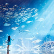 Atlantis Lost Chambers Aquarium Access for One Person |  at Wondergifts