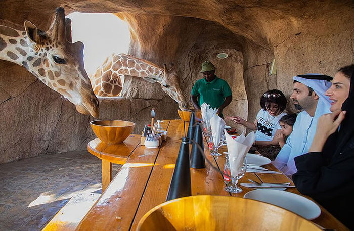 Emirates Park Zoo & Resort Family Stay with Zoo Access and Breakfast with Giraffes