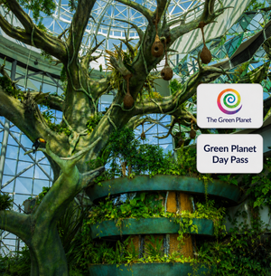 Immersive The Green Planet Day Pass Experience
