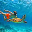 Fujairah - Mesmerising Snorkeling Adventure with Transfers & Sightseeing