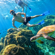 Fujairah - Mesmerising Snorkeling Adventure with Transfers & Sightseeing