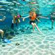 Fujairah - Mesmerising Snorkeling Adventure with Transfers & Sightseeing