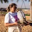 Dawn Hot Air Balloon Adventure with Succulent Breakfast & Falconry |  at Wondergifts