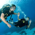 Discovery Scuba Dive Adventure for One in Palm Jumeirah |  at Wondergifts