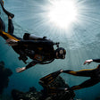 Discovery Scuba Dive Adventure for One in Palm Jumeirah |  at Wondergifts