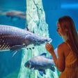 Dubai Aquarium & Underwater Zoo with Penguin Cove General Admission |  at Wondergifts