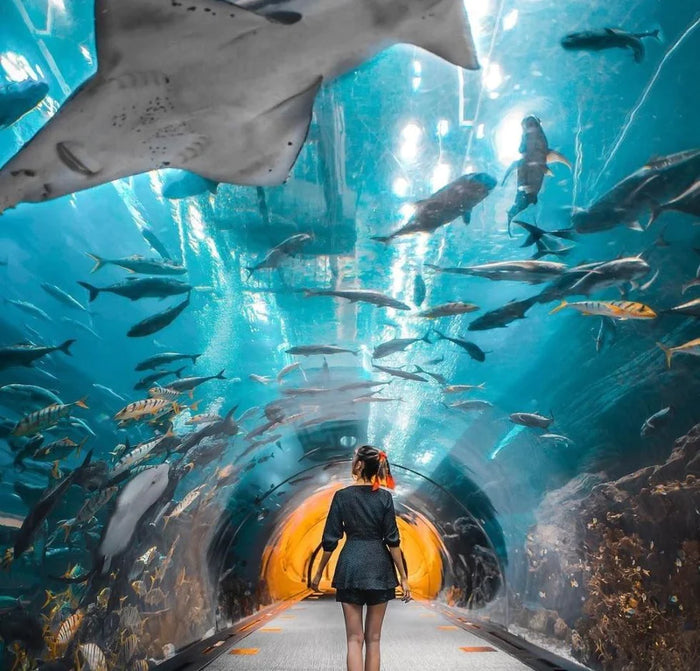 At.Mosphere Burj Khalifa Dining with Dubai Aquarium Access for One |  at Wondergifts