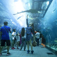 At.Mosphere Burj Khalifa Dining with Dubai Aquarium Access for One |  at Wondergifts