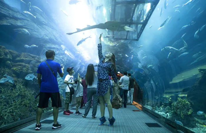 At.Mosphere Burj Khalifa Dining with Dubai Aquarium Access for One |  at Wondergifts