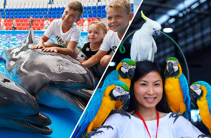 Creek Park Exotic Bird Show General Admission Ticket for 1 Child |  at Wondergifts