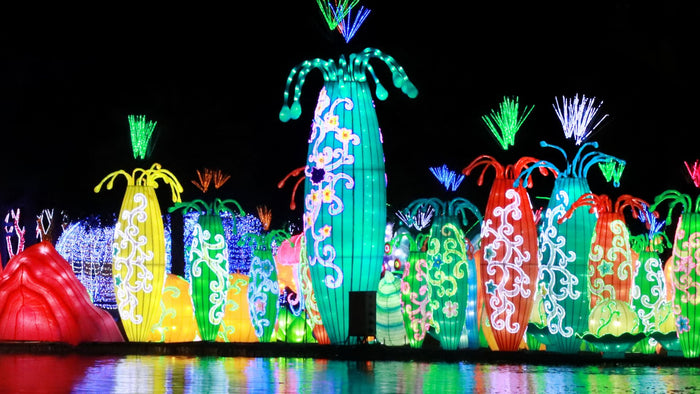 Dubai Garden Glow with Access to Glow Park and Dinosaur Park for One |  at Wondergifts