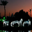 Dubai Garden Glow with Access to Glow Park and Dinosaur Park for One |  at Wondergifts