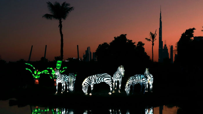 Dubai Garden Glow with Access to Glow Park and Dinosaur Park for One |  at Wondergifts