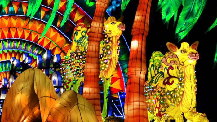 Dubai Garden Glow with Access to Glow Park and Dinosaur Park for One |  at Wondergifts
