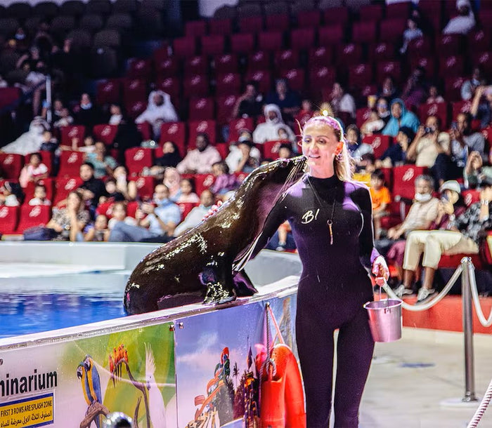 Entry Ticket to The Frame and Dubai Dolphinarium for One |  at Wondergifts