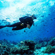 Thrilling Fujairah Two Dives Scuba Adventure and BBQ Lunch |  at Wondergifts