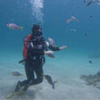 Thrilling Fujairah Two Dives Scuba Adventure and BBQ Lunch |  at Wondergifts