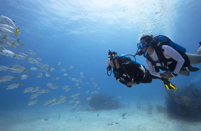Thrilling Fujairah Two Dives Scuba Adventure and BBQ Lunch |  at Wondergifts