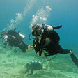 Thrilling Fujairah Two Dives Scuba Adventure and BBQ Lunch |  at Wondergifts