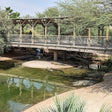 Dubai Crocodile Park Entry Ticket for One Child |  at Wondergifts